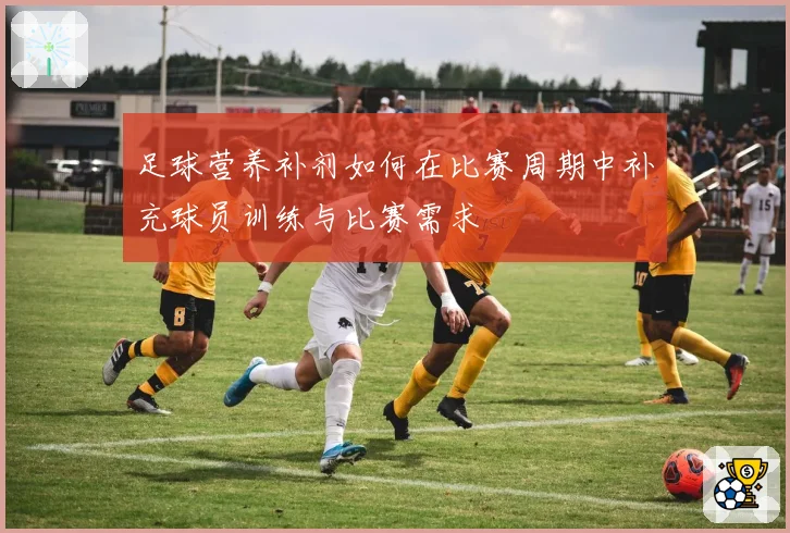 足球营养补剂如何在比赛周期中补充球员训练与比赛需求