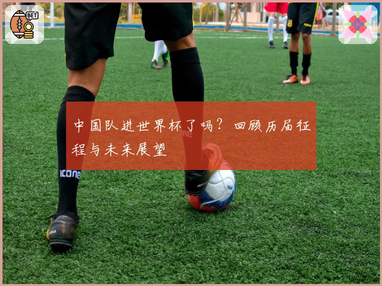 中国队进世界杯了吗？回顾历届征程与未来展望