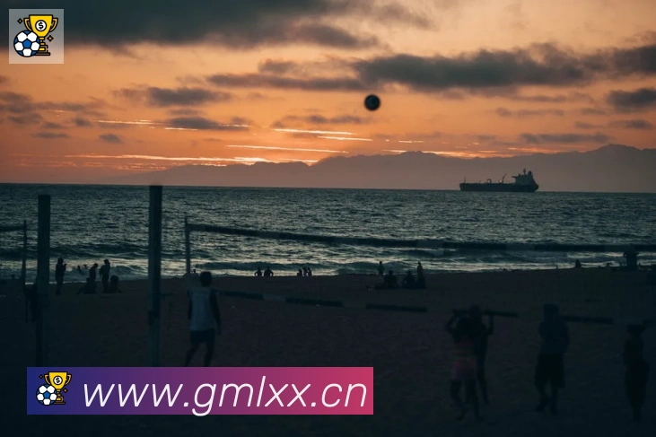 爱游戏体育app官网入口发展历程